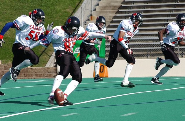 入了新的活 入了新的活