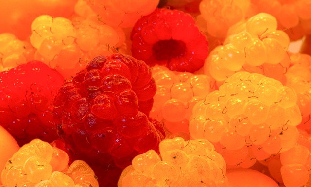 越的领导能 越的领导能