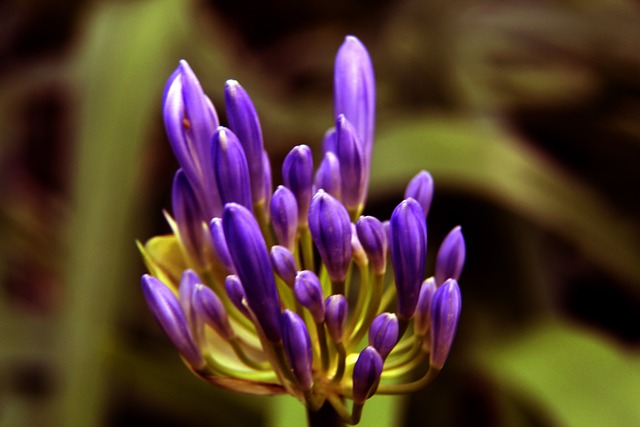 可以轻松接 可以轻松接