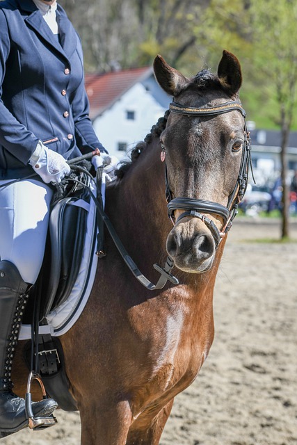 除了绿茵场 除了绿茵场