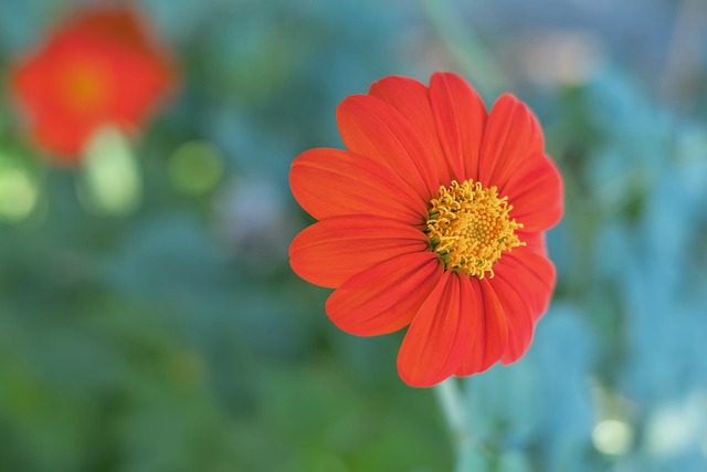 供了宝贵经 供了宝贵经