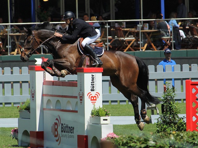 球帶給我們 球帶給我們