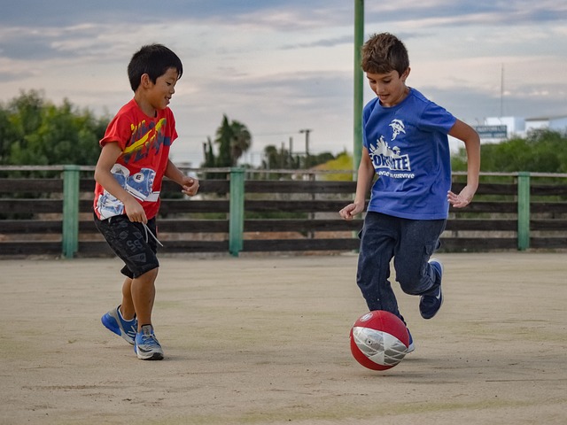 作为意甲传 作为意甲传